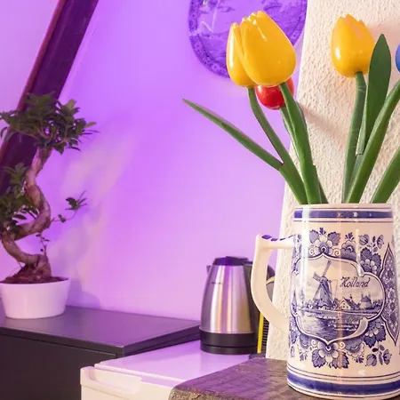 Vendégház Tulip Of Amszterdam