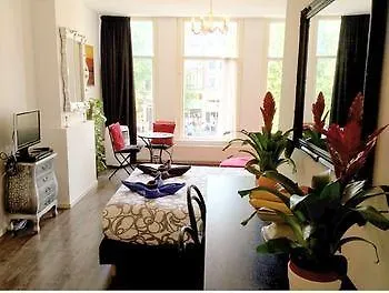 Tulip Of
