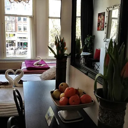 Tulip Of Gæstehus 4*