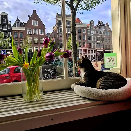 Tulip Of Bed & Breakfast
