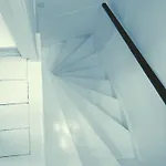 Tulip Of Амстердам