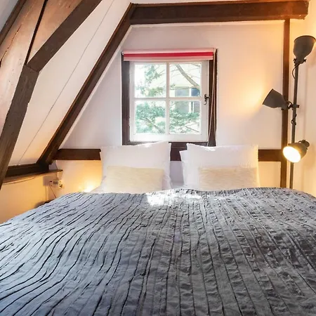 Tulip Of Bed & Breakfast Amsterdam