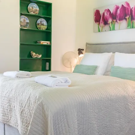 Tulip Of بيت ضيافة أمستردام