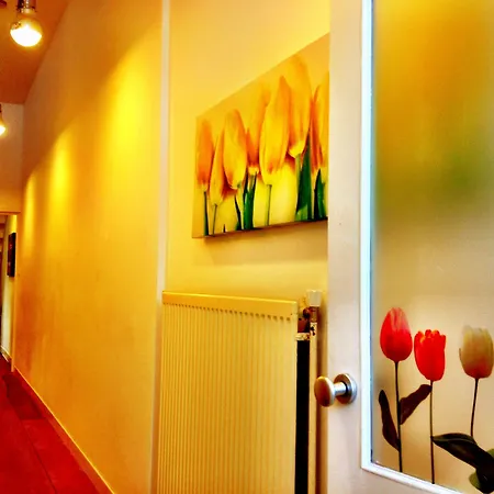 Tulip Of 4* Amsterdam