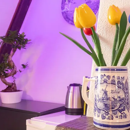 بيت ضيافة Tulip Of 4*