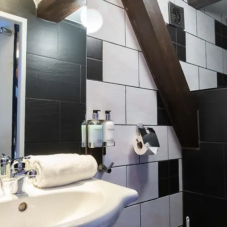 بيت ضيافة Tulip Of 4*