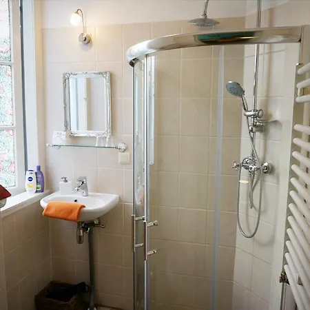 Tulip Of أمستردام