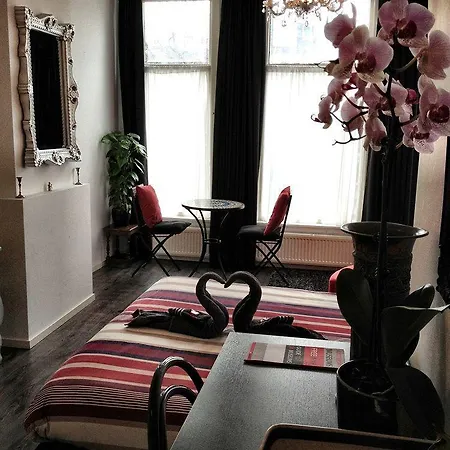Tulip Of Bed & Breakfast