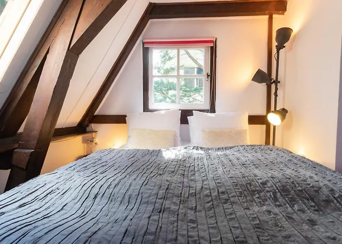 Tulip Of Gasthuis Amsterdam