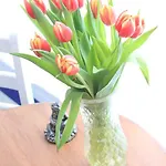 Vendégház Tulip Of 4*