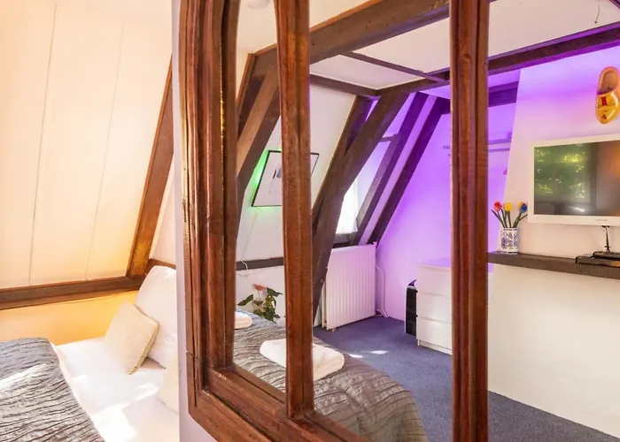 Tulip Of Gasthuis Amsterdam