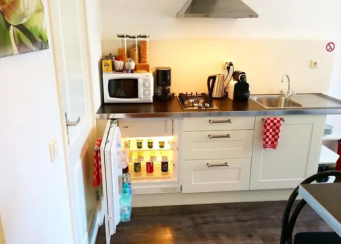 Tulip Of Gasthuis Amsterdam