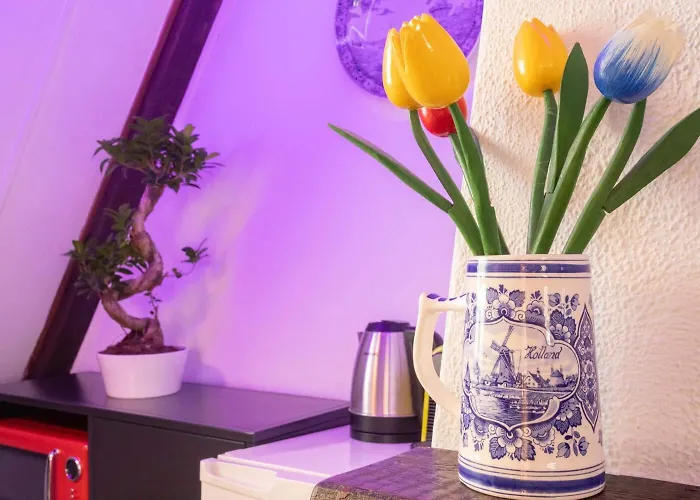 Gasthuis Tulip Of 4*