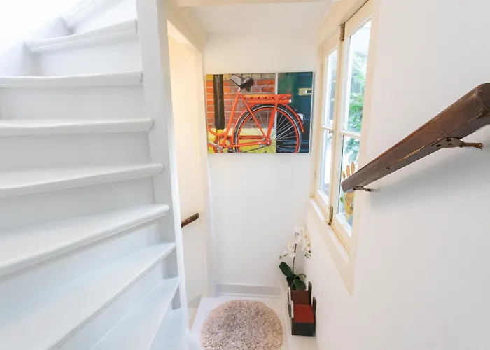 Tulip Of Gasthuis Amsterdam