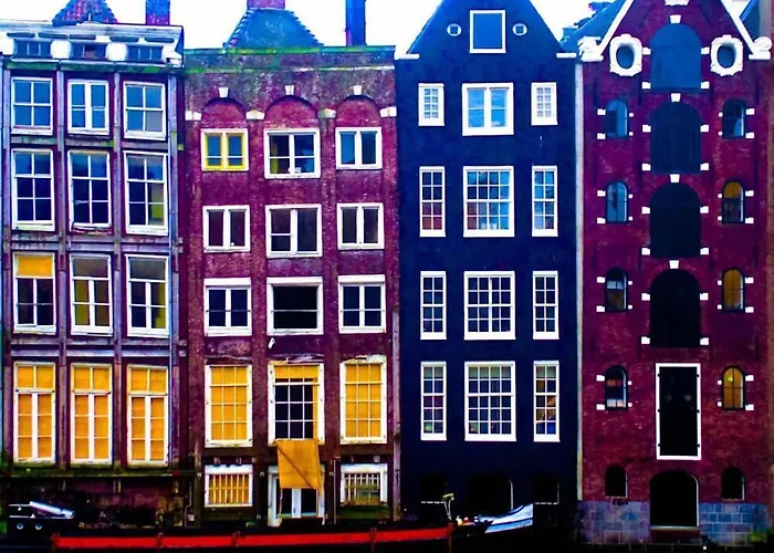 Tulip Of Gasthuis Amsterdam