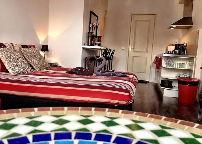 Gasthuis Tulip Of 4*