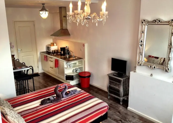 Gasthuis Tulip Of 4*