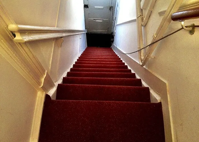 Tulip Of Gasthuis Amsterdam